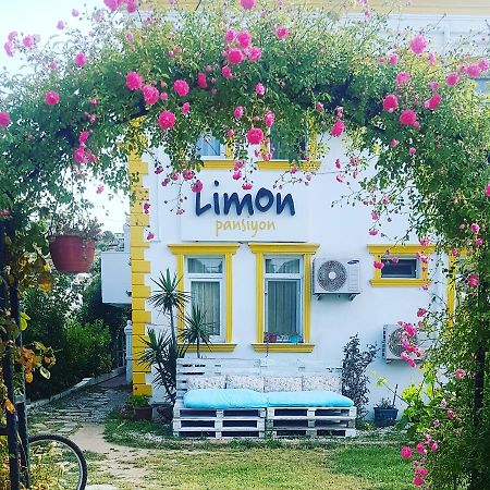 פוצ'ה Limon Pansiyon מראה חיצוני תמונה