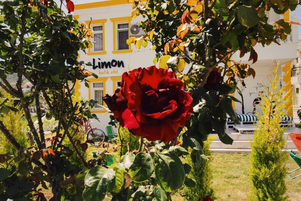 פוצ'ה Limon Pansiyon מראה חיצוני תמונה