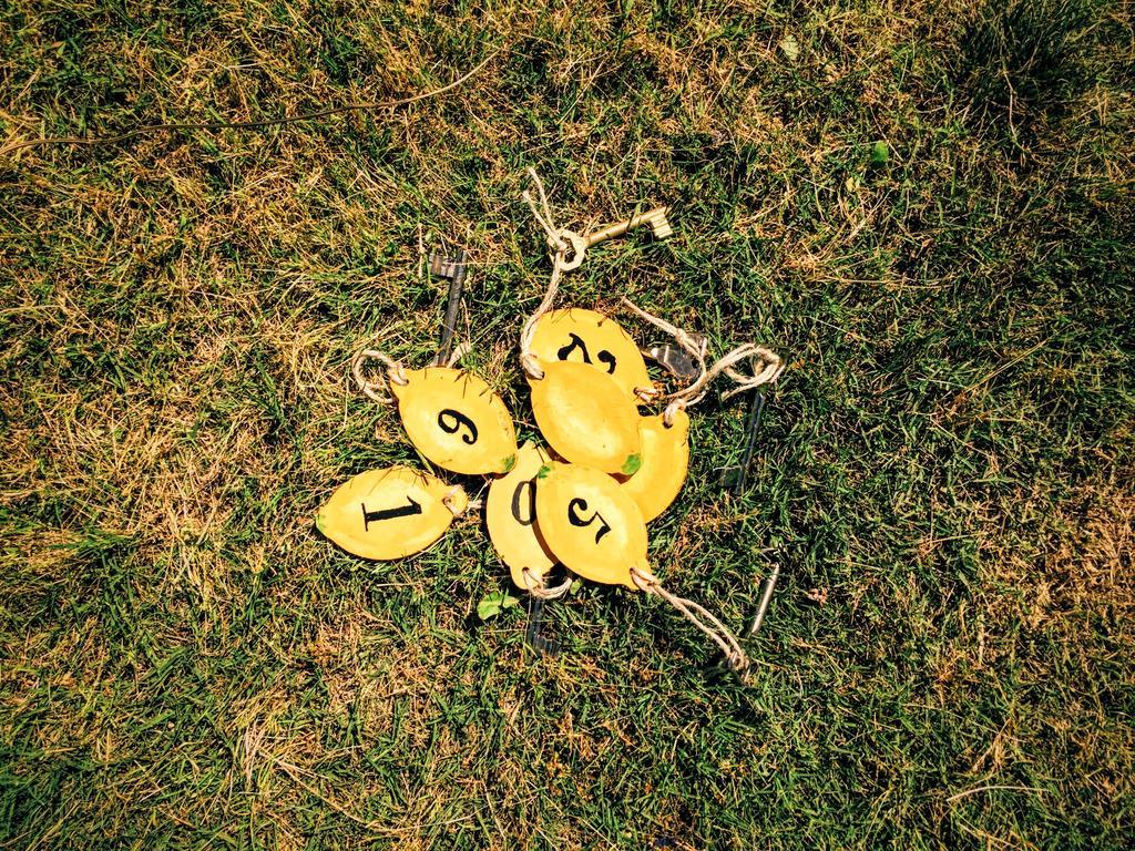 פוצ'ה Limon Pansiyon מראה חיצוני תמונה